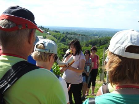 Pomlad v prleških goricah 2017 22